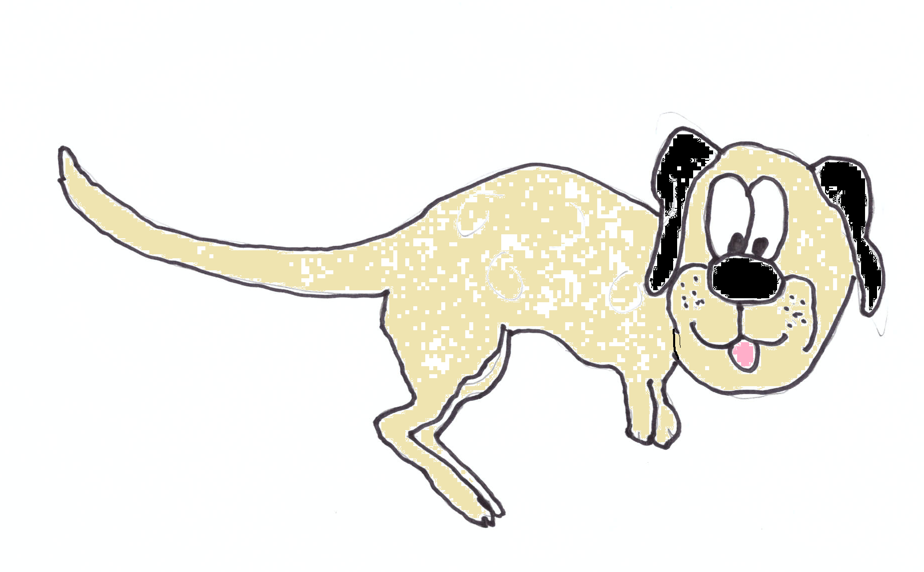 kangadog