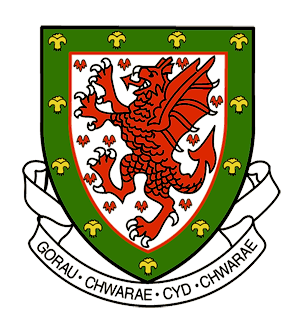 Image result for Faw Football