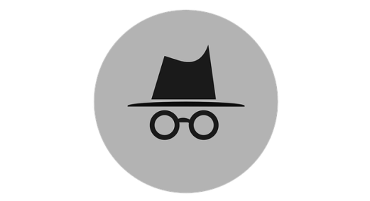 incognito-2231825_640